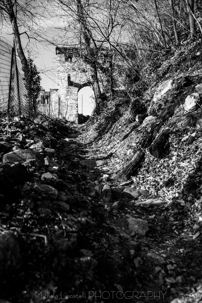 Ponte Tibetano di Curzutt  Bellinzonese, paesaggio, passeggiata, ponte, ponte tibetano, sementina, ticino, ticinoturismo, 